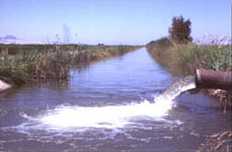 river water filling a canal
